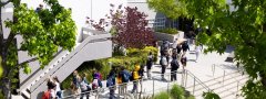 除了学费,你更该了解的——尔湾私立中小学校课程特色盘点|依诺教育原创解读