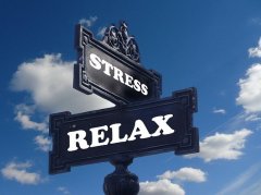 本科研究生申请心理学Psychology全攻略