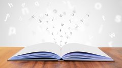 YINO EDU 大学奖学金计划